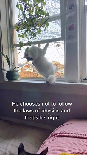 Devin Valencia Feller: Defying Physics in Today's B-Plan