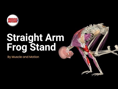 Straight Arm Frog Stand: Strength and Balance