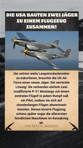 F-82 TWIN MUSTANG: DAS BIZARRE DOPPEL-FLUGZEUG DER USA! ✈️👯‍♂️
