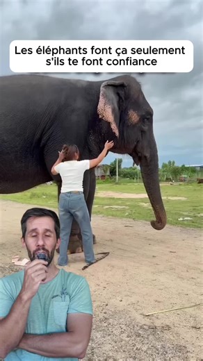 Éléphant dompté : Moments drôles de la nature