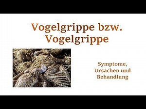 Vogelgrippe bzw. Vogelgrippe – Symptome, Ursachen und Behandlung