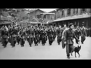 Xª MAS Lupo BN (2) SHORT