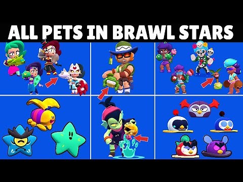 All Pets In Brawl Stars
