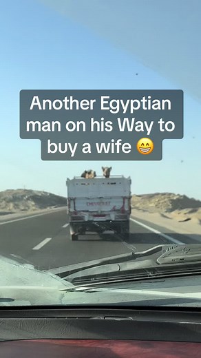 Understanding Egyptian Marriage Traditions: From Camels to Coptic Christians