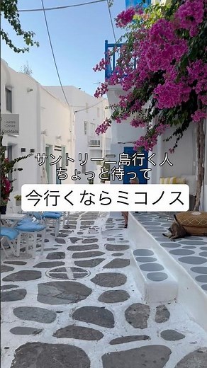 Mykonos is so cute it's unbelievable.