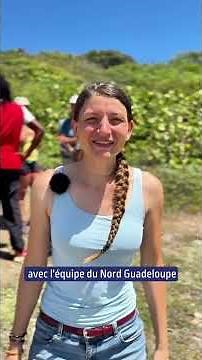 Envie de découvrir le Nord Grande-Terre autrement ?