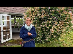 Floret Farm Tour: Rose Nursery