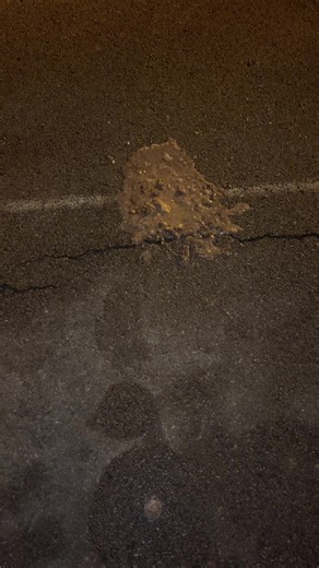 Solid 6.7 Pull Highlights and Tomorrow's Trig Tuesday