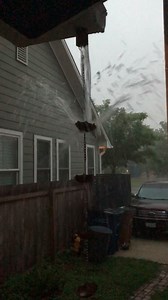 Watch Do you value form over function? Well, it looks great! on Amazon Live