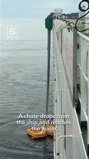 How Do Ferries Prepare for the Worst-Case Scenario? 🚢