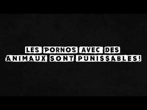 Porno animaux