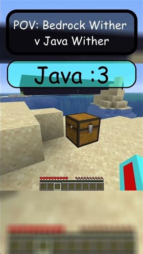 BEDROCK WITHER V JAVA WITHER | Minecraft Skits