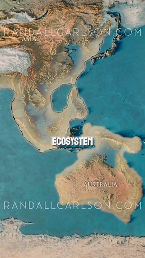 @therandallcarlson on Instagram: "When ecologists look at the decimation of the entire ecosystem in the Earths history, it is interesting to look at the formation of life afterward. A perfect microcosm of some of the planets past catastrophes is the eruption of Mt. St. Helens in 1980. This gives us an interesting example of going from a lunar landscape to the seeds of life."