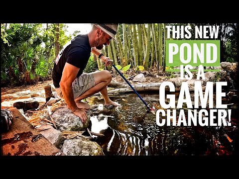 Hands-ON Feeding the Giant Gator Snappers!