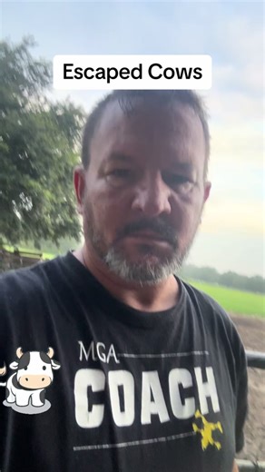 Wrangling Cows: A Day on the Farm!