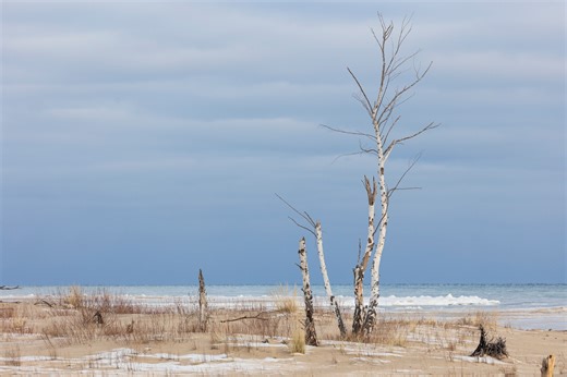Michigan’s Week-Ahead Forecast: Early warmth before Arctic blast returns