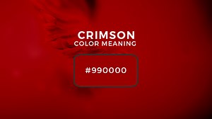Crimson Color Meaning: What is the Meaning of the Color Crimson?