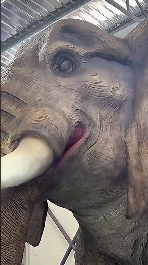 Unbelievable realistic ! This animatronic elephant is so cool!#animatronicproduct #elephant #zoo