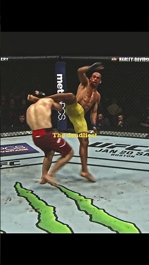 Barboza Spinning Wheel Kick KO except Khabib🦅 #ufc