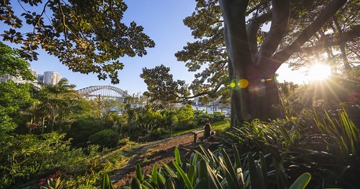 Nature & parks in Sydney