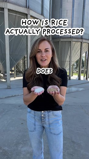 The Fascinating Process of Rice Milling Unveiled