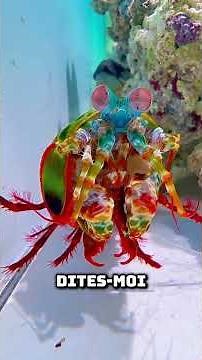 #pêcheàlacarpe #animaux #fishing #thon #pêcheenmer #fish #poisson #poissons #aquarium