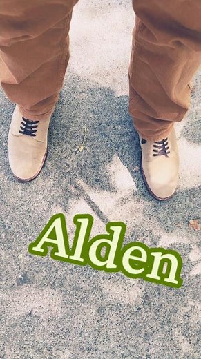 Alden Boondocker (379X)