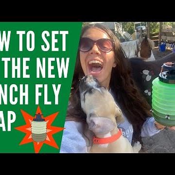 How to set up the NEW Ranch Fly Trap