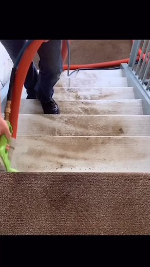 Clean That Up Shop on TikTok