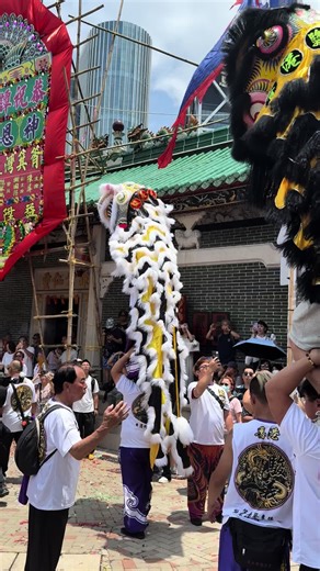 Exploring the Art of Lion Dance Performance