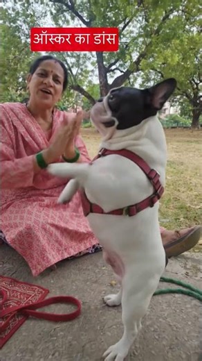 ऑस्कर का डांस 🐕🐕🐕