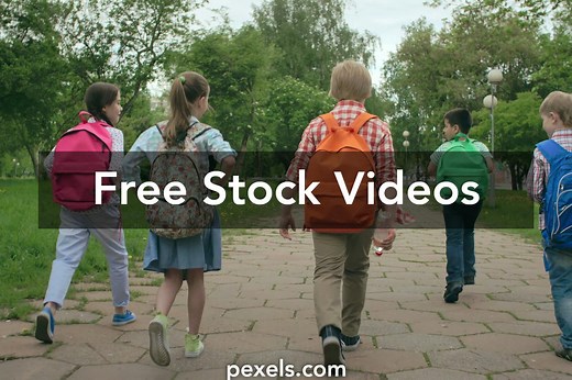 School Videos, Download The BEST Free 4k Stock Video Footage & School HD Video Clips