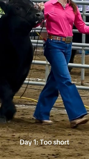 Learn from Kiki—don’t let your child end up in jeans that are too short! I warned her that her jeans wouldn’t cover her boots, but she was sure they’d be fine. If your child is showing in boots, aim for at least 2 extra inches of length. Yes, tall girls can find long jeans! #cattle #stockshowlife #stockshowkid #jeans #westernfashion