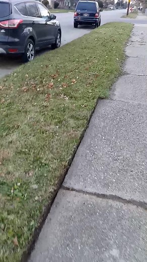 Allerrada's inc D Best landscaping! | Darrell Culbreath