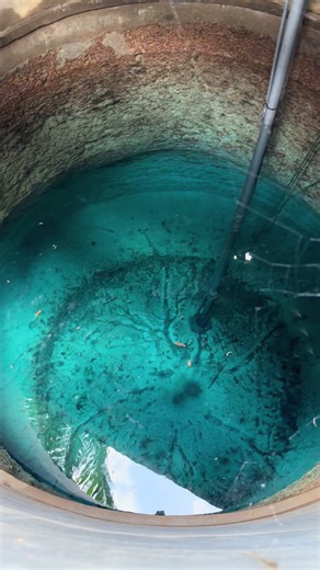 These natural wells are absolutely stunning. They are @Rooting’s place. ♥️ The waler column is around 25’ in depth. #naturalwell #naturalspring #freshwater