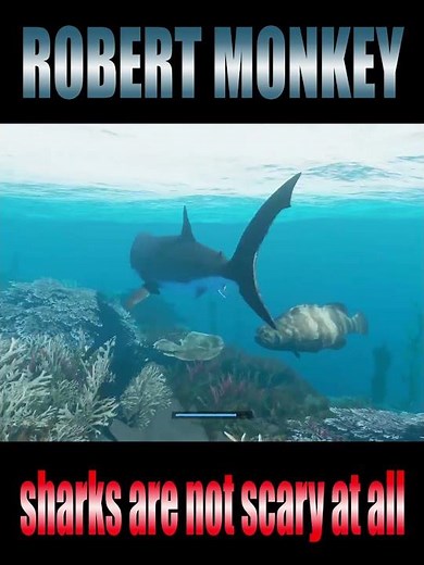 PFFFFT...SHARKS!? - Stranded Deep