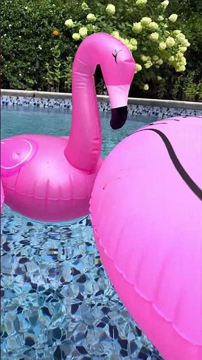 Pink Pool Party Ideas for Fun, Floats and More