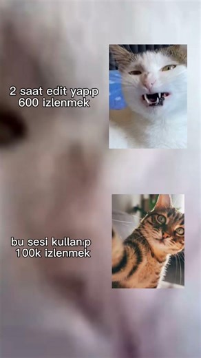 ohaa keşfet açıldı lan