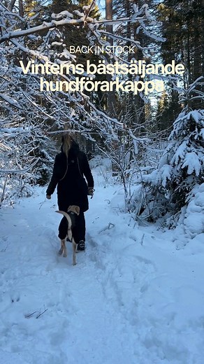 4.5K views | ❄️ Must-have för alla hundägare i vinter! När...