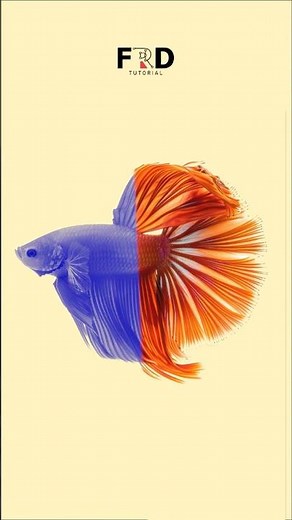 Want to change any PNG colour in Adobe Illustrator?