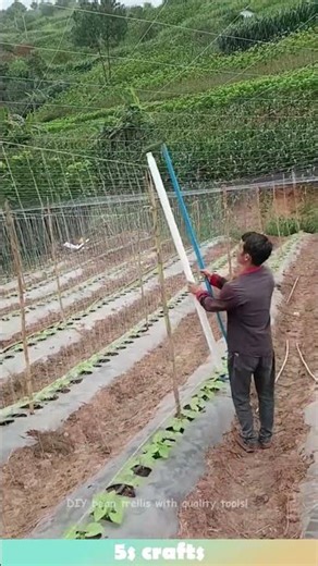 DIY bean trellis with quality tools! #farming #tools
