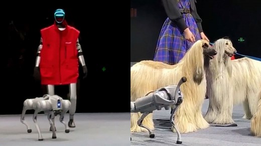 Bizarre moment robots and pets strut down the runway at Shanghai fashion show
