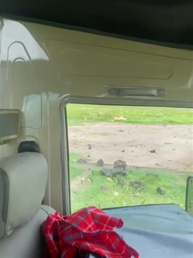 fischerlovesbirds (@fischerlovesbirds)’s videos with original sound - fischerlovesbirds