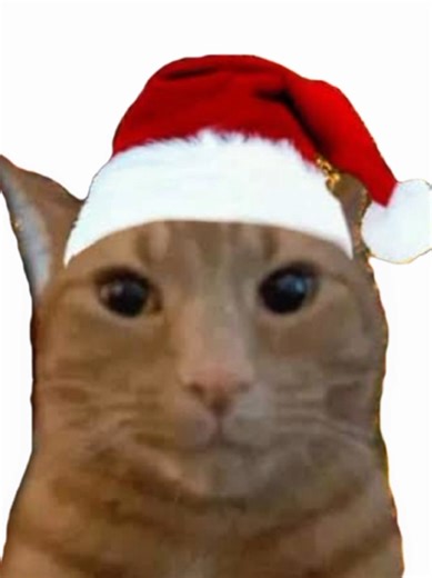 Feliz Navidad: Comparte Alegría y Humor