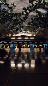 A must-do during your visit: discover Stockholm’s fantastic subway art! ❤️ The Stockholm subway system is said to be one of the longest art galleries in the world. This is from the Näckrosen (water lily) station on the blue line. 🪷 The station’s art includes paintings, actual rocks, quotes and aphorisms, frames containing various interesting objects connected to the location, and more. 🖼 ℹ️ Explore our guide to 14 fantastic subway stations in Stockholm: https://bit.ly/art-in-the-stockholm-subw