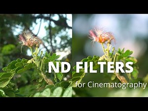 How to calculate ND STOPS for Cinematic look! (SECRETS NO ONE EVER TELLS YOU) | Hindi