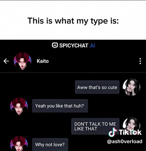 Advanced SpicyChat.ai Bots for Engaging Conversations