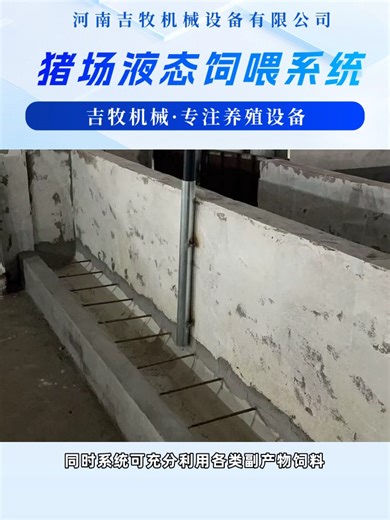 猪场人工饲喂如何减负？液态饲喂系统适配自动化养殖模式 #全自动养猪料线 #全自动养猪料线系统价格 #养猪自动化料线报价 #育肥猪自动料线系统厂家 #猪场自动化料