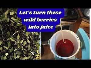 The Secret to Perfect Berry Juice You Need to Know!