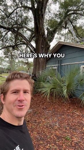 Grow Inn Homes | Real Estate & Growing Food on Instagram: "This oak tree was way too close to the house...🌳 Big trees planted near foundations can cause serious problems over time This oak was growing into the roof, the slab, and even around the PVC piping Even though it was beautiful we learned it was rotten at the core Once roots get under concrete and foundations, the risk only gets worse Sometimes removal is the smartest long term move for the home Follow @GrowInnHomes for more food growing